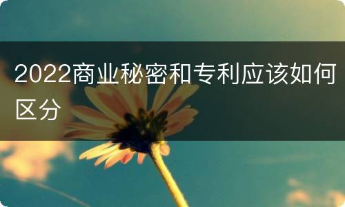 2022商业秘密和专利应该如何区分