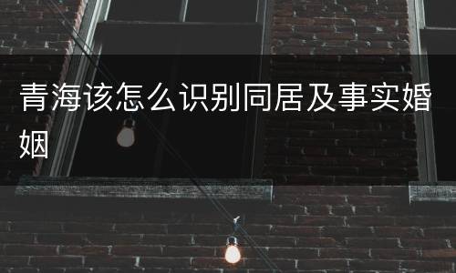 青海该怎么识别同居及事实婚姻