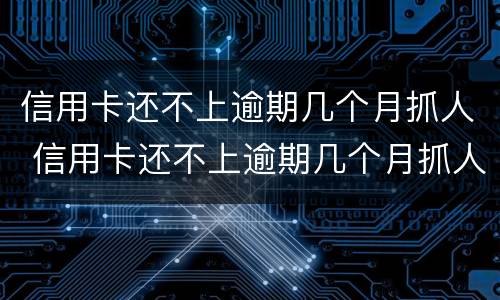信用卡还不上逾期几个月抓人 信用卡还不上逾期几个月抓人有影响吗