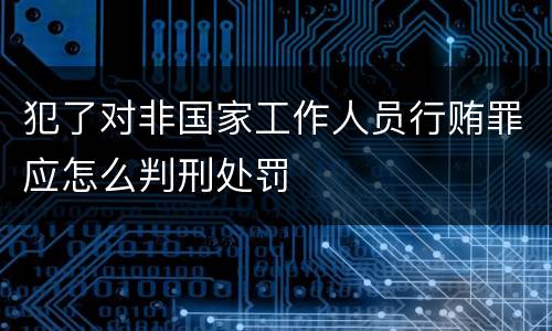 犯了对非国家工作人员行贿罪应怎么判刑处罚