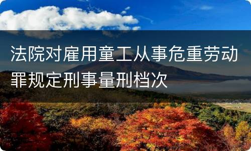 法院对雇用童工从事危重劳动罪规定刑事量刑档次