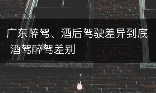 广东醉驾、酒后驾驶差异到底 酒驾醉驾差别