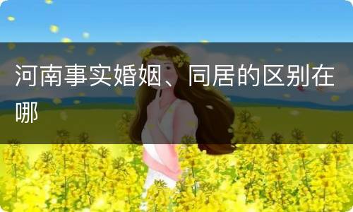 河南事实婚姻、同居的区别在哪