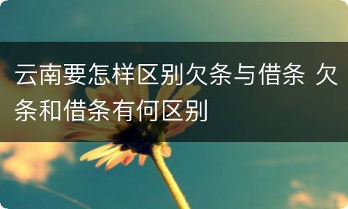 云南要怎样区别欠条与借条 欠条和借条有何区别