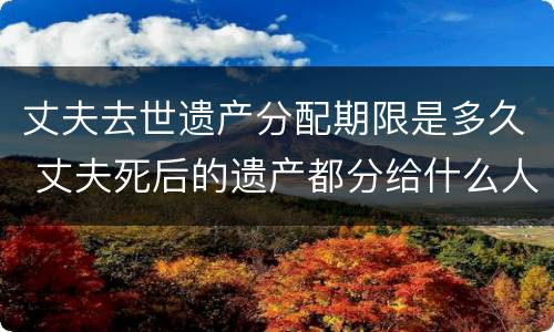 丈夫去世遗产分配期限是多久 丈夫死后的遗产都分给什么人