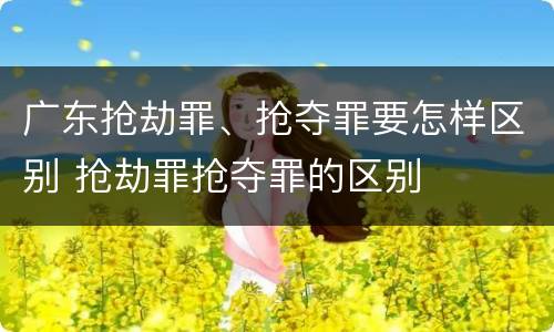 广东抢劫罪、抢夺罪要怎样区别 抢劫罪抢夺罪的区别
