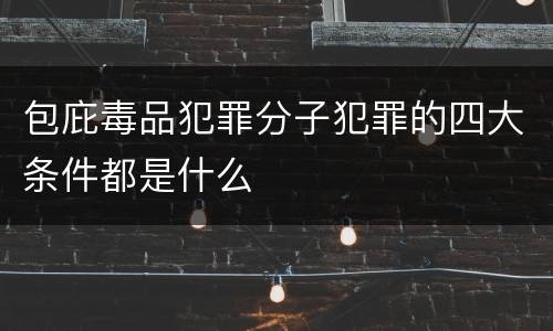 包庇毒品犯罪分子犯罪的四大条件都是什么