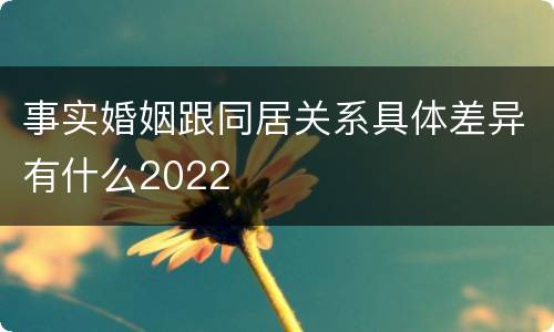 事实婚姻跟同居关系具体差异有什么2022