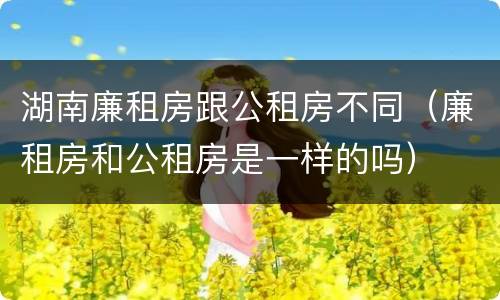 湖南廉租房跟公租房不同（廉租房和公租房是一样的吗）