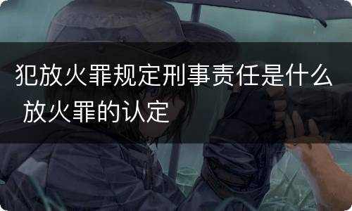 犯放火罪规定刑事责任是什么 放火罪的认定