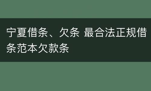 宁夏借条、欠条 最合法正规借条范本欠款条