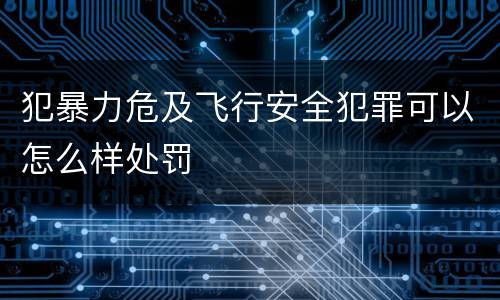 犯暴力危及飞行安全犯罪可以怎么样处罚