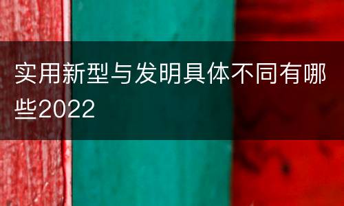 实用新型与发明具体不同有哪些2022
