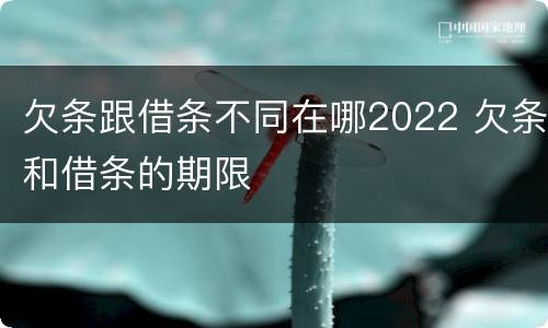欠条跟借条不同在哪2022 欠条和借条的期限