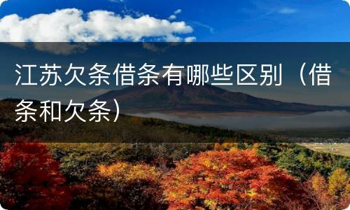 江苏欠条借条有哪些区别（借条和欠条）