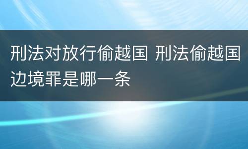 刑法对放行偷越国 刑法偷越国边境罪是哪一条
