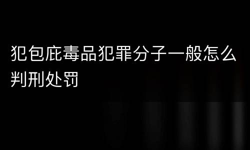 犯包庇毒品犯罪分子一般怎么判刑处罚