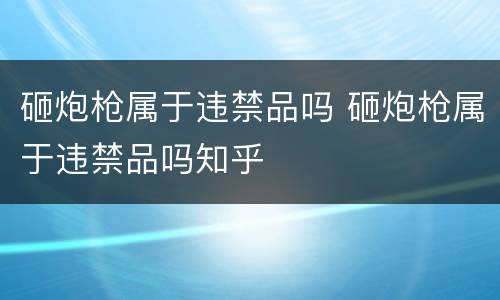 砸炮枪属于违禁品吗 砸炮枪属于违禁品吗知乎