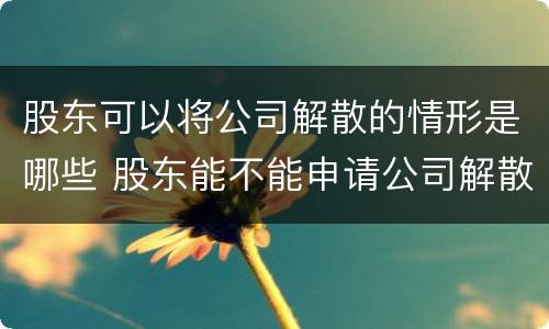 股东可以将公司解散的情形是哪些 股东能不能申请公司解散