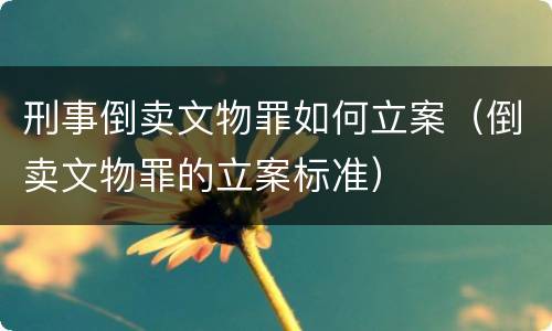 刑事倒卖文物罪如何立案（倒卖文物罪的立案标准）