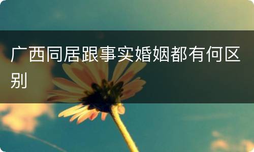 广西同居跟事实婚姻都有何区别