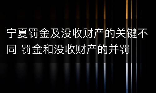 宁夏罚金及没收财产的关键不同 罚金和没收财产的并罚