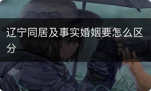 辽宁同居及事实婚姻要怎么区分