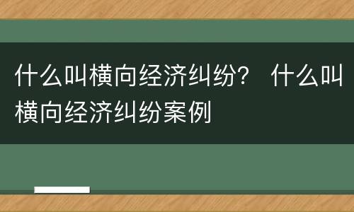 什么叫横向经济纠纷？ 什么叫横向经济纠纷案例