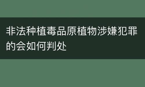 非法种植毒品原植物涉嫌犯罪的会如何判处