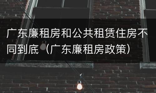 广东廉租房和公共租赁住房不同到底（广东廉租房政策）