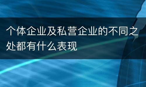 个体企业及私营企业的不同之处都有什么表现