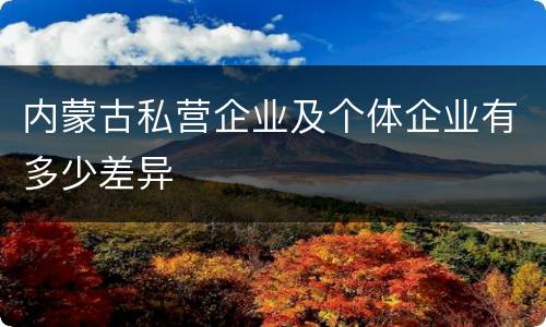内蒙古私营企业及个体企业有多少差异