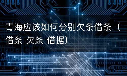 青海应该如何分别欠条借条（借条 欠条 借据）