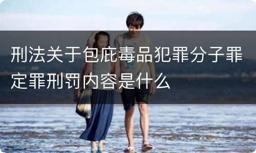 刑法关于包庇毒品犯罪分子罪定罪刑罚内容是什么