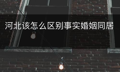 河北该怎么区别事实婚姻同居