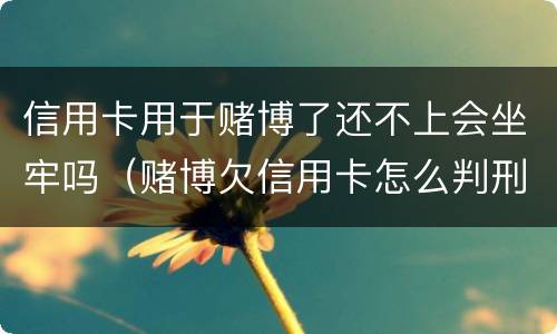 信用卡用于赌博了还不上会坐牢吗（赌博欠信用卡怎么判刑）