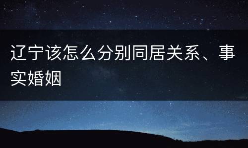 辽宁该怎么分别同居关系、事实婚姻