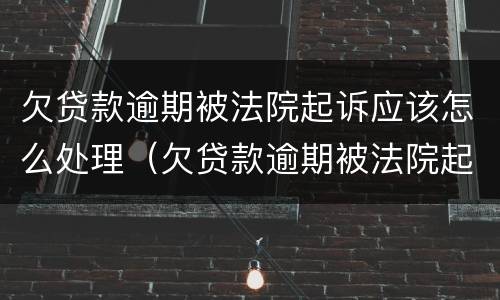 欠贷款逾期被法院起诉应该怎么处理（欠贷款逾期被法院起诉应该怎么处理呢）