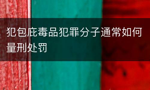 犯包庇毒品犯罪分子通常如何量刑处罚
