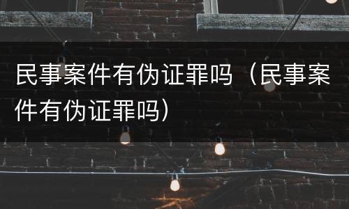 民事案件有伪证罪吗（民事案件有伪证罪吗）