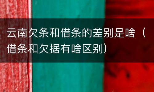 云南欠条和借条的差别是啥（借条和欠据有啥区别）