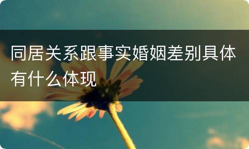 同居关系跟事实婚姻差别具体有什么体现