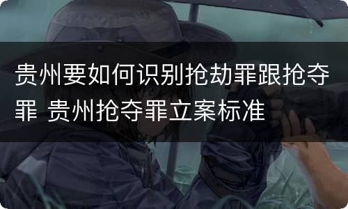 贵州要如何识别抢劫罪跟抢夺罪 贵州抢夺罪立案标准
