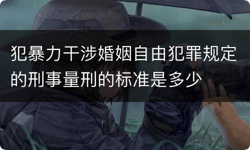 犯暴力干涉婚姻自由犯罪规定的刑事量刑的标准是多少