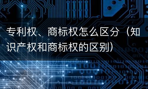 专利权、商标权怎么区分（知识产权和商标权的区别）
