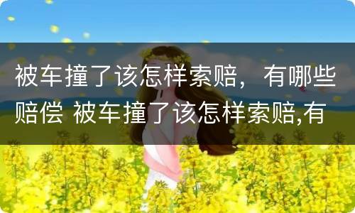 被车撞了该怎样索赔，有哪些赔偿 被车撞了该怎样索赔,有哪些赔偿标准