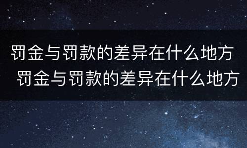 罚金与罚款的差异在什么地方 罚金与罚款的差异在什么地方填写