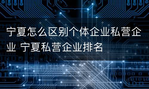 宁夏怎么区别个体企业私营企业 宁夏私营企业排名