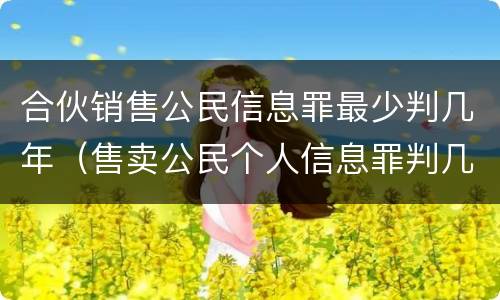 合伙销售公民信息罪最少判几年（售卖公民个人信息罪判几年）