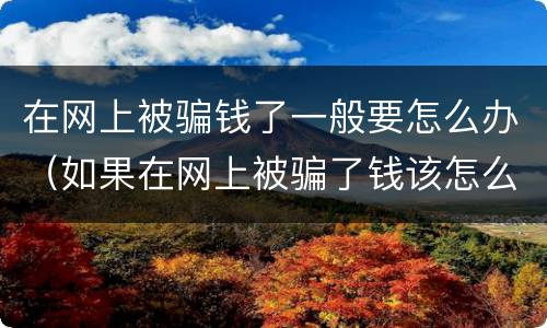 在网上被骗钱了一般要怎么办（如果在网上被骗了钱该怎么办）
